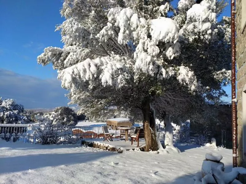 domaine sous la neige